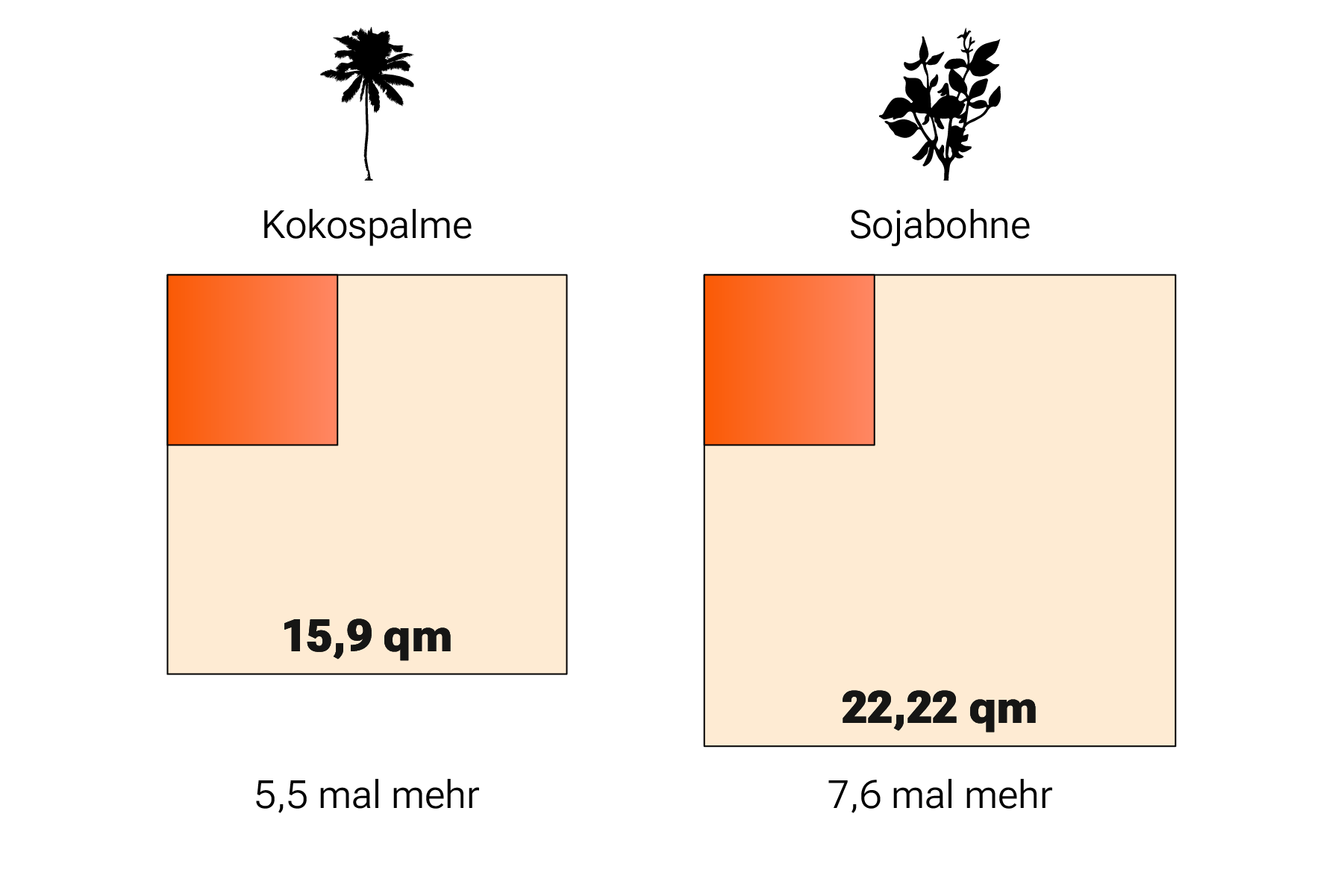 Die Anbaufläche von Palmöl liegt bei 2,9 Quadratmeter. Die Anbaufläche der Kokospalme ist 5,5 mal höher und liegt bei 15,9 Quadratmeter, die der Sojabohne liegt bei 22,22 Quadratmeter.