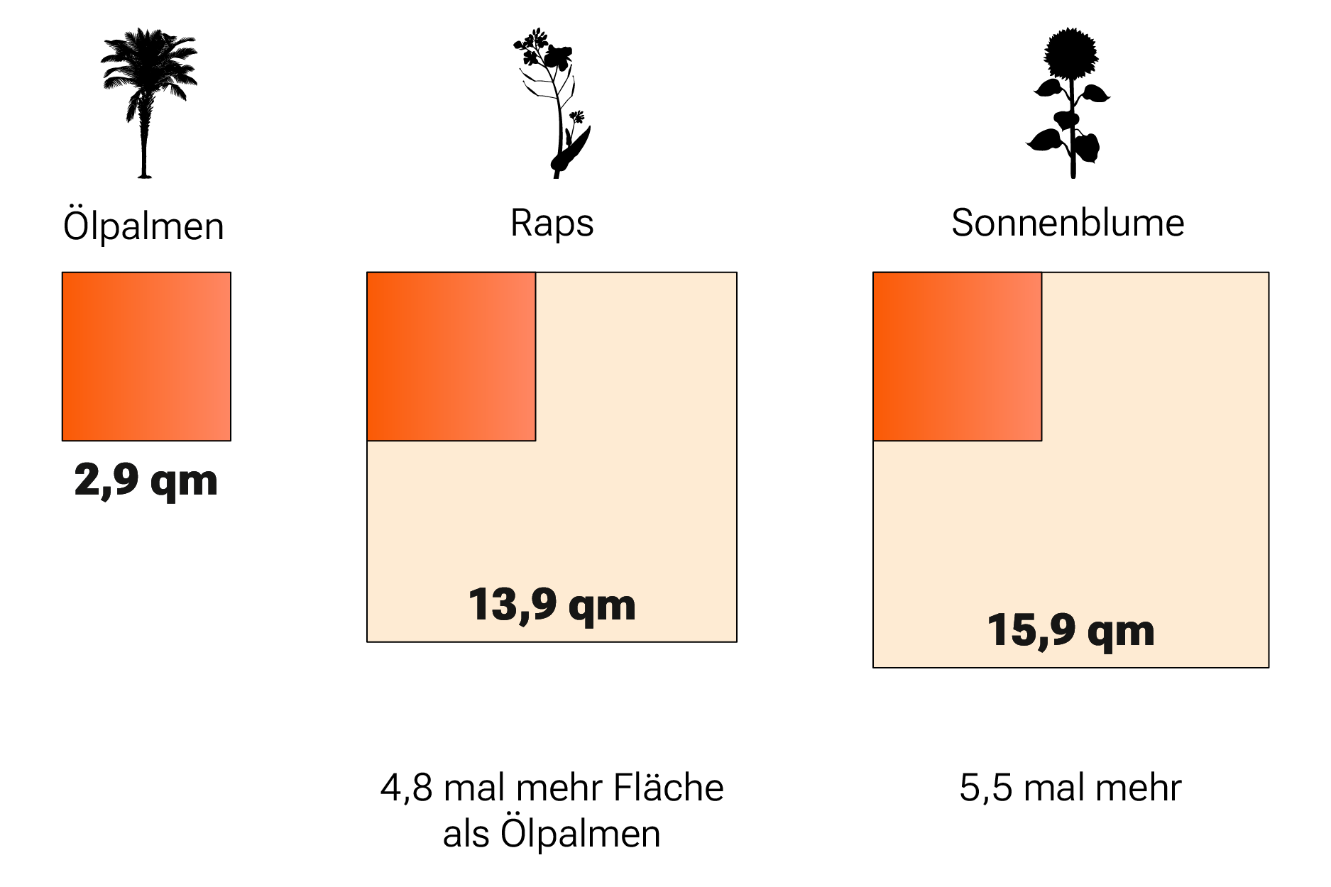 Anbaufläche von Palmöl liegt bei 2,9 Quadratmeter. Die von Raps ist 4,8 mal höher und liegt bei 13,9 Quadratmeter, bei Sonnenblumenöl sind es 15,9 Quadratmeter