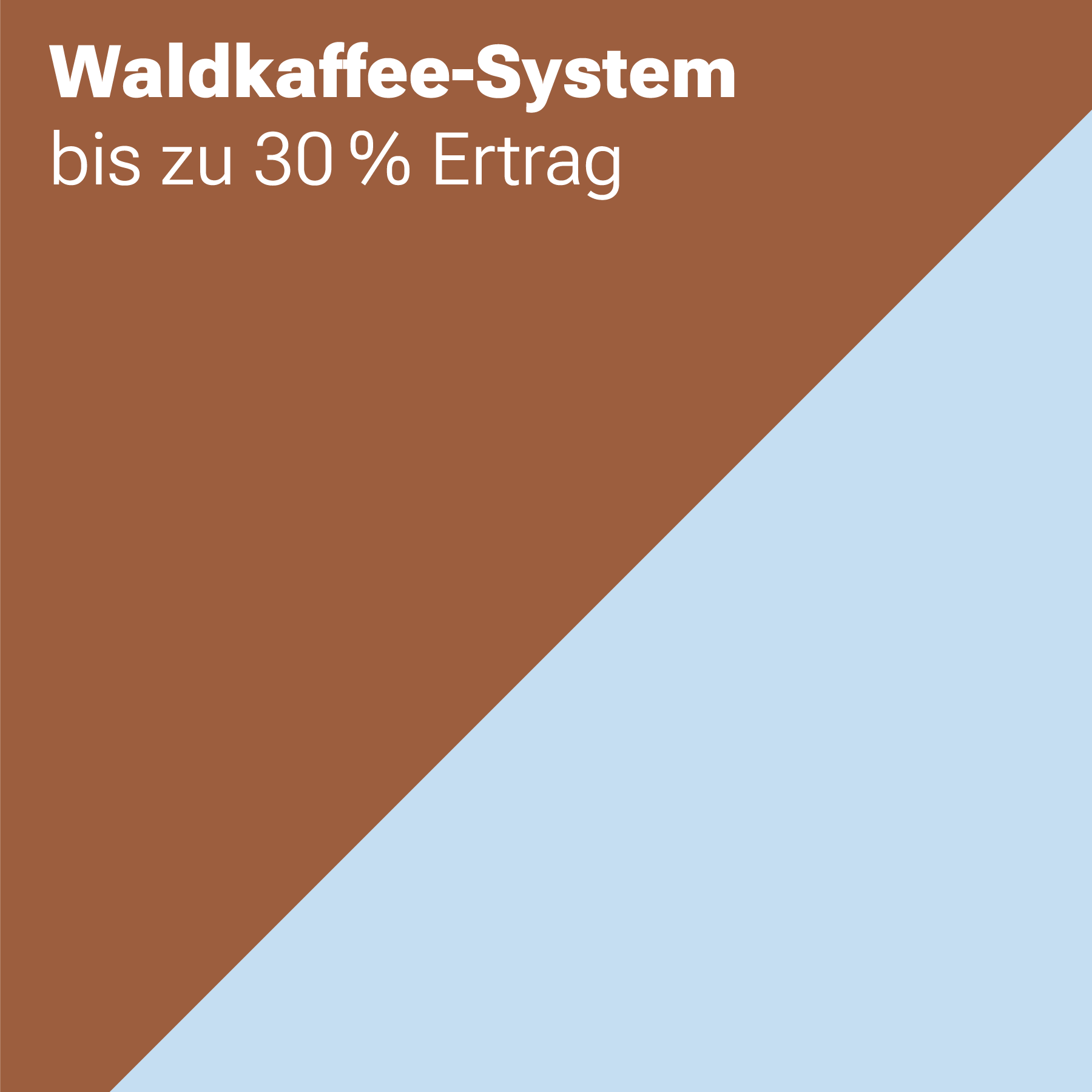 Anteil der Anbausysteme: Waldkaffee-System ergibt ca. 30 Prozent Ertrag