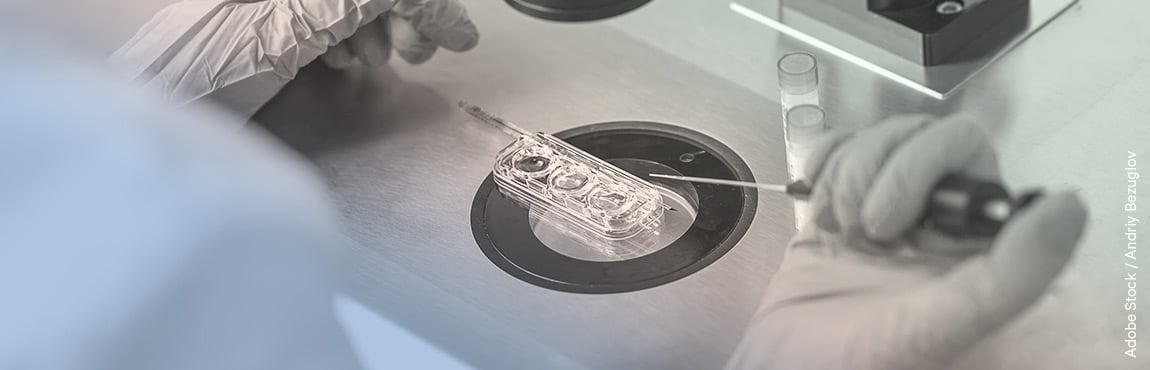 Labortechniker prüft das Ergebnis einer In-vitro-Fertilisation